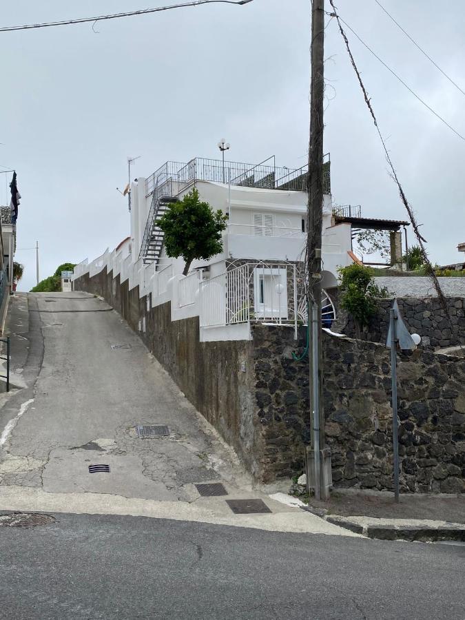 Porcavilla B&B Ischia Zewnętrze zdjęcie